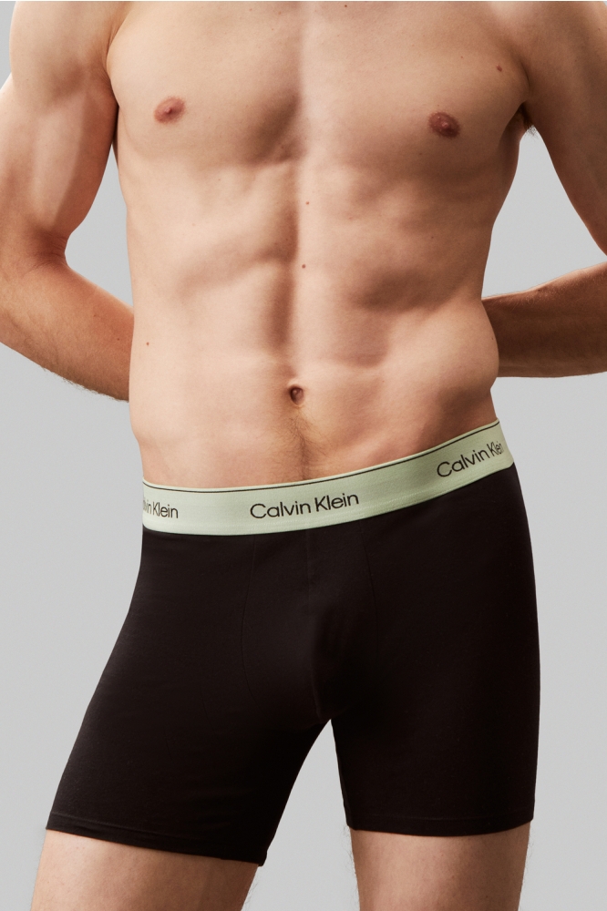 BOXER BRIEF 3PK LV00NB4394 BWHITE, BEAU BLUE, LEAFY FUN WBS